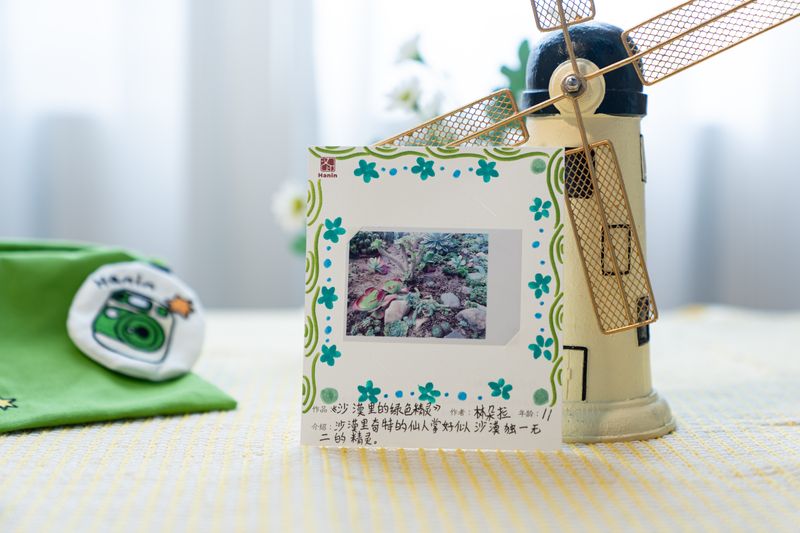 永乐国际F66拍立得作品 沙漠里的绿色精灵 永乐国际F66拍立得作品 沙漠里的绿色精灵