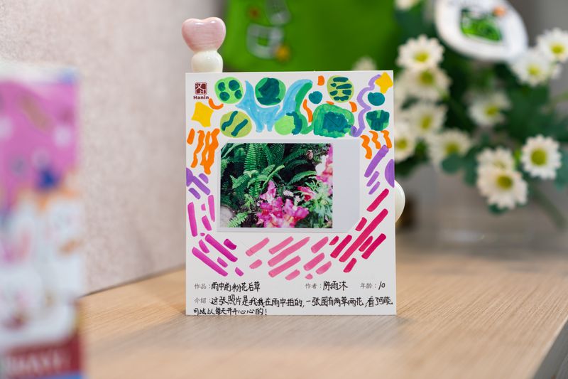 永乐国际F66拍立得作品 雨中前粉花后草 永乐国际F66拍立得作品 雨中前粉花后草